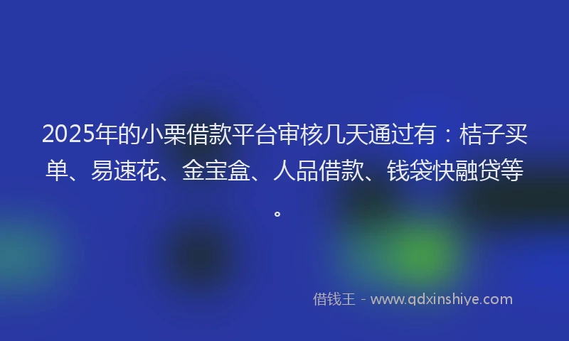 2025年的小栗借款平台审核几天通过有：桔子买单、易速花、金宝盒、人品借款、钱袋快融贷等。