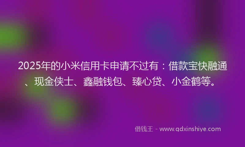 2025年的小米信用卡申请不过有：借款宝快融通、现金侠士、鑫融钱包、臻心贷、小金鹤等。