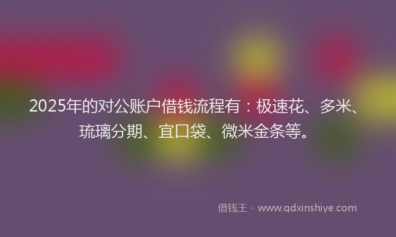 2025年的对公账户借钱流程有：极速花、多米、琉璃分期、宜口袋、微米金条等。