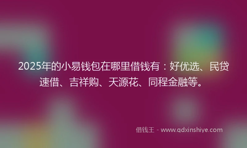 2025年的小易钱包在哪里借钱有：好优选、民贷速借、吉祥购、天源花、同程金融等。