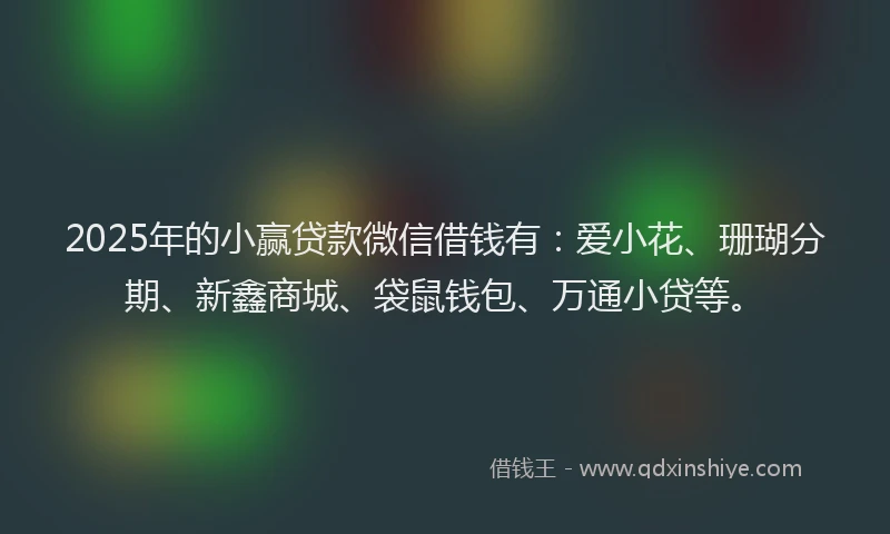 2025年的小赢贷款微信借钱有：爱小花、珊瑚分期、新鑫商城、袋鼠钱包、万通小贷等。