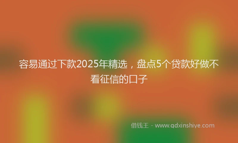 容易通过下款2025年精选，盘点5个贷款好做不看征信的口子