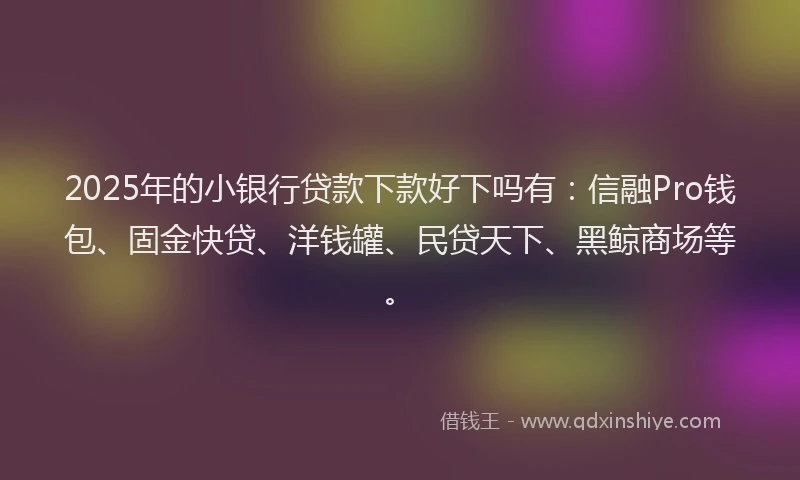 2025年的小银行贷款下款好下吗有：信融Pro钱包、固金快贷、洋钱罐、民贷天下、黑鲸商场等。
