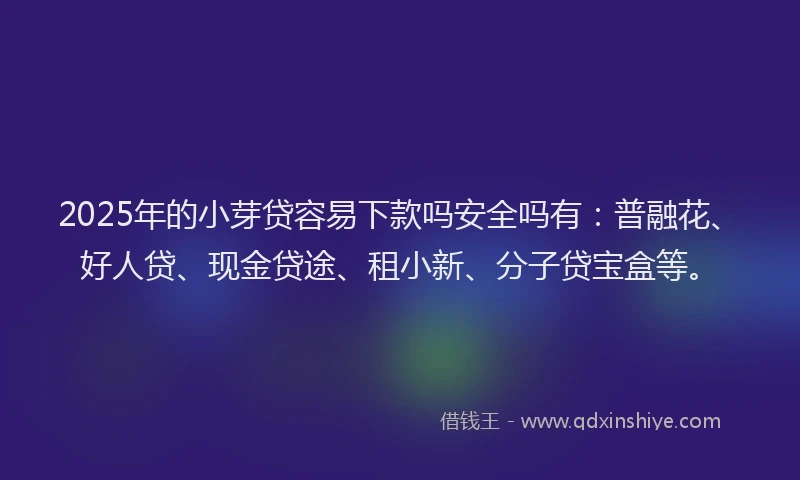 2025年的小芽贷容易下款吗安全吗有：普融花、好人贷、现金贷途、租小新、分子贷宝盒等。