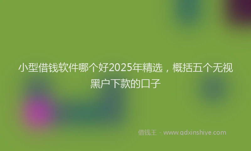 小型借钱软件哪个好2025年精选，概括五个无视黑户下款的口子