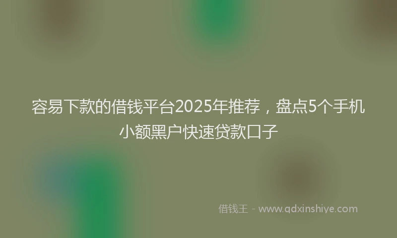 容易下款的借钱平台2025年推荐，盘点5个手机小额黑户快速贷款口子