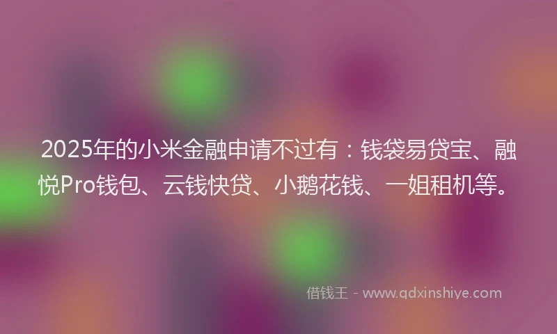 2025年的小米金融申请不过有：钱袋易贷宝、融悦Pro钱包、云钱快贷、小鹅花钱、一姐租机等。