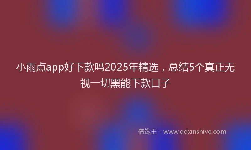 小雨点app好下款吗2025年精选，总结5个真正无视一切黑能下款口子