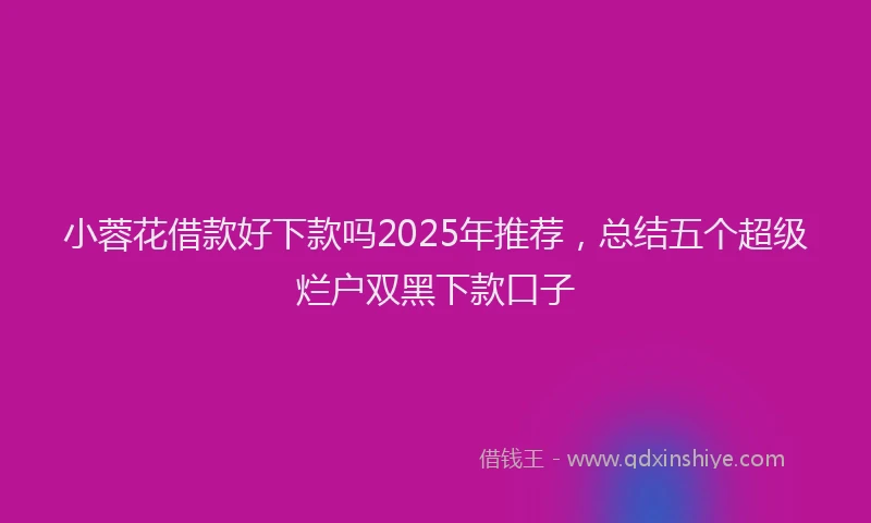 小蓉花借款好下款吗2025年推荐，总结五个超级烂户双黑下款口子