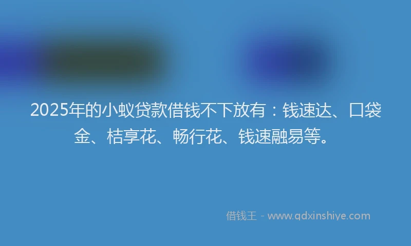 2025年的小蚁贷款借钱不下放有：钱速达、口袋金、桔享花、畅行花、钱速融易等。