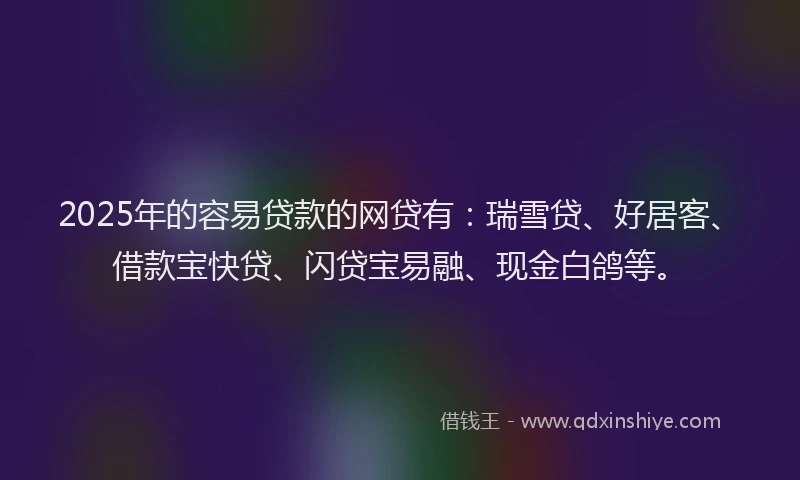 2025年的容易贷款的网贷有：瑞雪贷、好居客、借款宝快贷、闪贷宝易融、现金白鸽等。