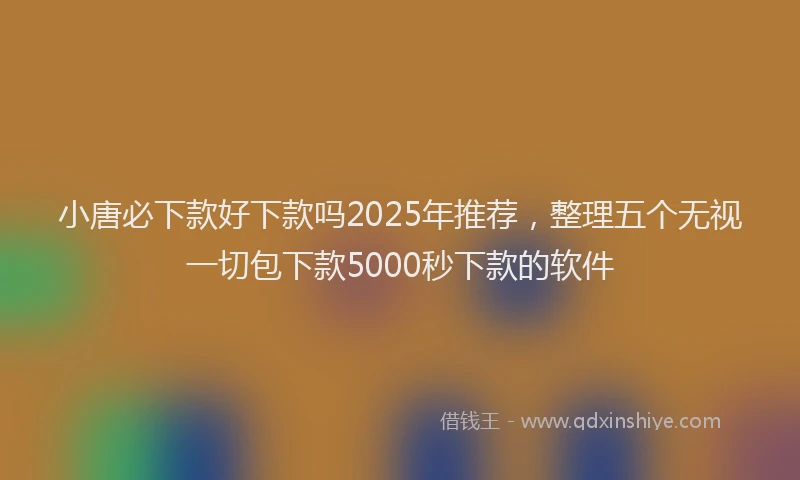 小唐必下款好下款吗2025年推荐，整理五个无视一切包下款5000秒下款的软件