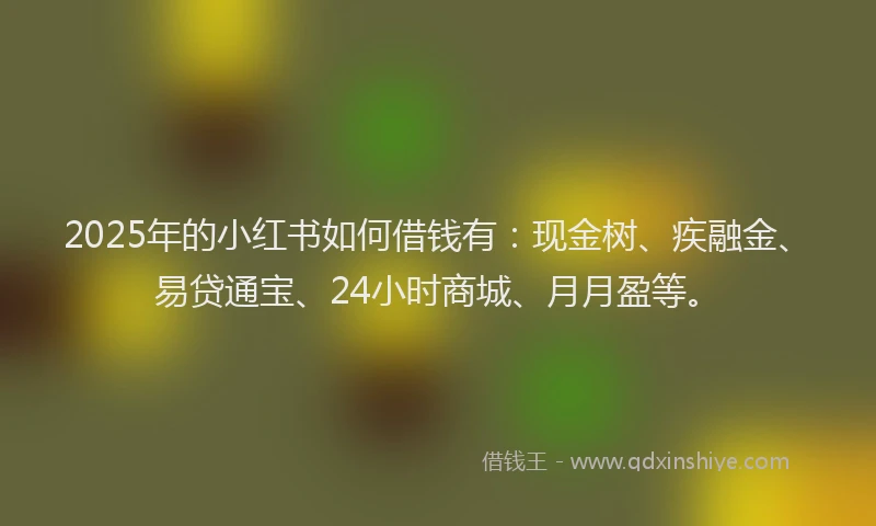 2025年的小红书如何借钱有：现金树、疾融金、易贷通宝、24小时商城、月月盈等。