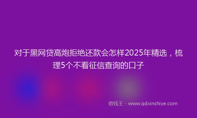 对于黑网贷高炮拒绝还款会怎样2025年精选，梳理5个不看征信查询的口子
