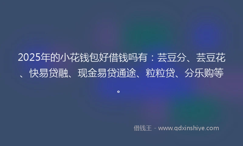 2025年的小花钱包好借钱吗有：芸豆分、芸豆花、快易贷融、现金易贷通途、粒粒贷、分乐购等。