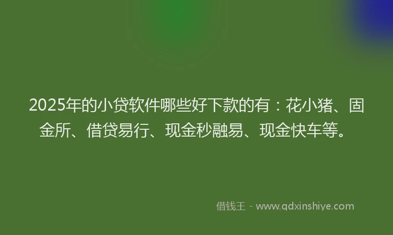 2025年的小贷软件哪些好下款的有：花小猪、固金所、借贷易行、现金秒融易、现金快车等。
