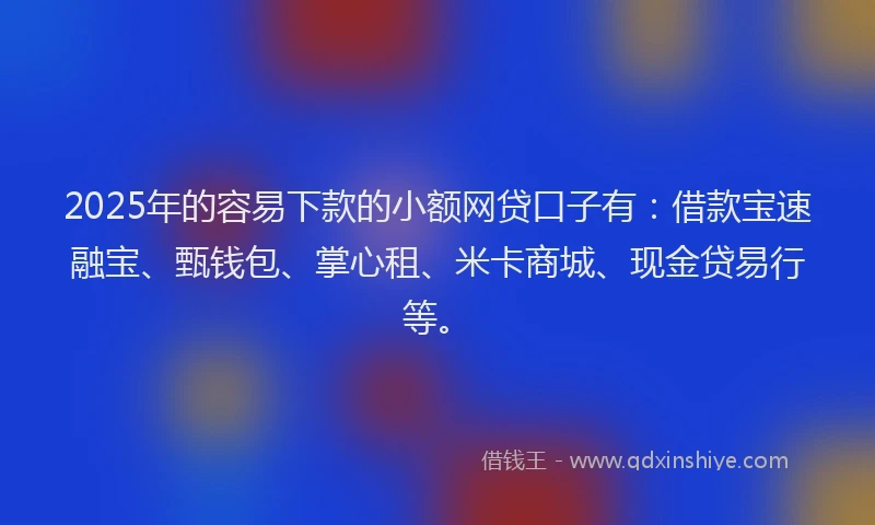 2025年的容易下款的小额网贷口子有：借款宝速融宝、甄钱包、掌心租、米卡商城、现金贷易行等。