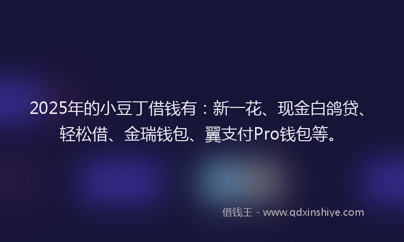 2025年的小豆丁借钱有：新一花、现金白鸽贷、轻松借、金瑞钱包、翼支付Pro钱包等。