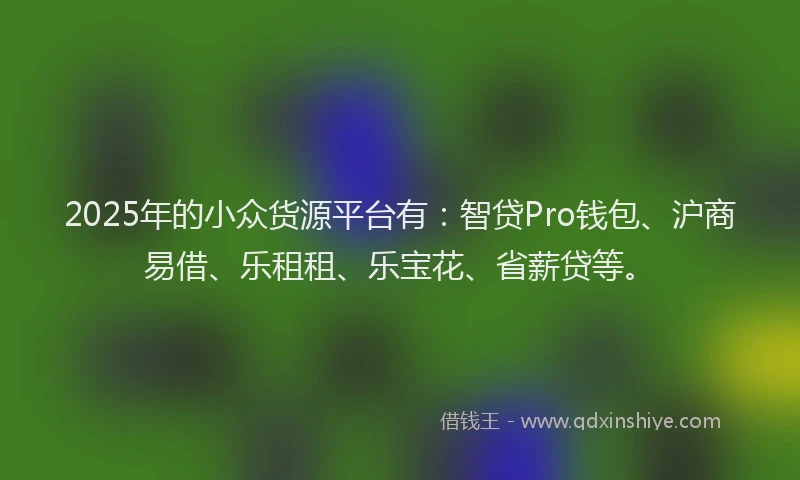 2025年的小众货源平台有：智贷Pro钱包、沪商易借、乐租租、乐宝花、省薪贷等。