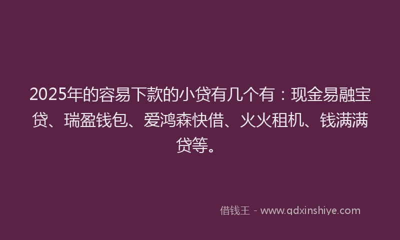 2025年的容易下款的小贷有几个有：现金易融宝贷、瑞盈钱包、爱鸿森快借、火火租机、钱满满贷等。