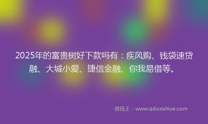 2025年的富贵树好下款吗有：疾风购、钱袋速贷融、大城小爱、捷信金融、你我易借等。