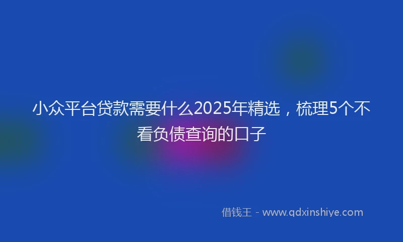 小众平台贷款需要什么2025年精选，梳理5个不看负债查询的口子