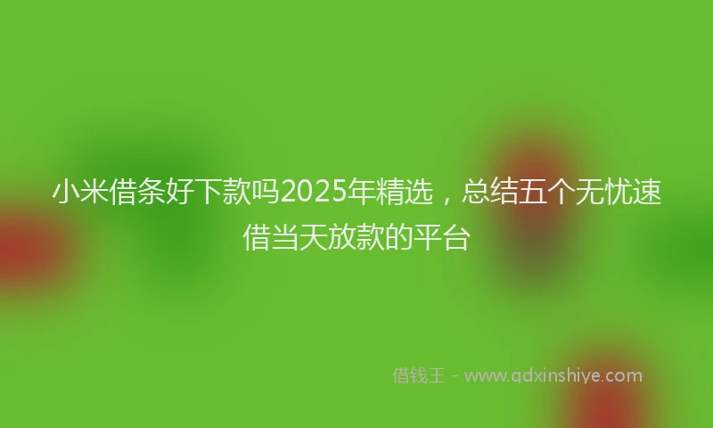 小米借条好下款吗2025年精选，总结五个无忧速借当天放款的平台