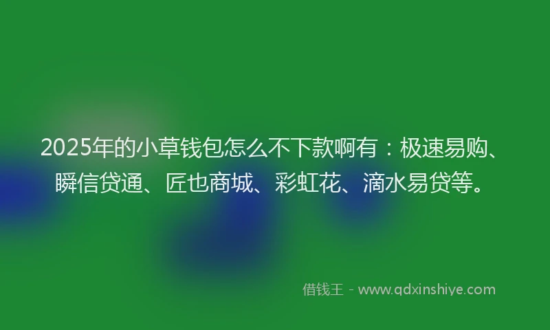 2025年的小草钱包怎么不下款啊有：极速易购、瞬信贷通、匠也商城、彩虹花、滴水易贷等。