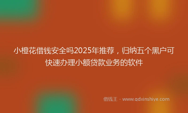 小橙花借钱安全吗2025年推荐，归纳五个黑户可快速办理小额贷款业务的软件