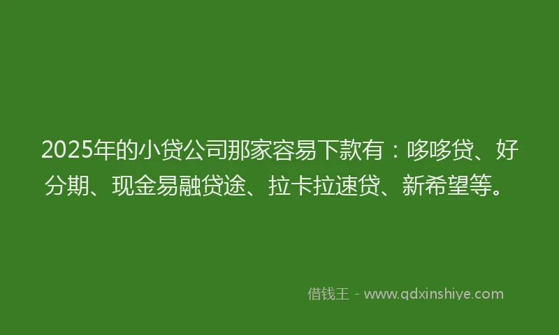 2025年的小贷公司那家容易下款有：哆哆贷、好分期、现金易融贷途、拉卡拉速贷、新希望等。