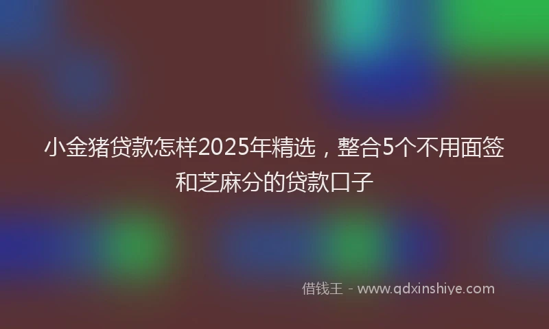 小金猪贷款怎样2025年精选，整合5个不用面签和芝麻分的贷款口子