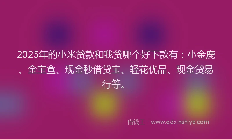 2025年的小米贷款和我贷哪个好下款有：小金鹿、金宝盒、现金秒借贷宝、轻花优品、现金贷易行等。