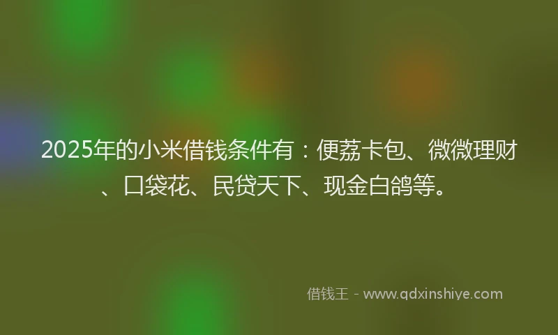 2025年的小米借钱条件有：便荔卡包、微微理财、口袋花、民贷天下、现金白鸽等。