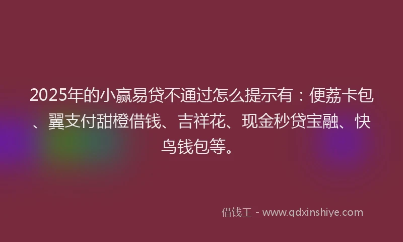 2025年的小赢易贷不通过怎么提示有：便荔卡包、翼支付甜橙借钱、吉祥花、现金秒贷宝融、快鸟钱包等。