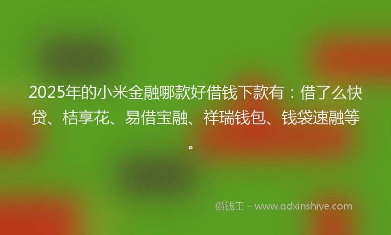 2025年的小米金融哪款好借钱下款有：借了么快贷、桔享花、易借宝融、祥瑞钱包、钱袋速融等。