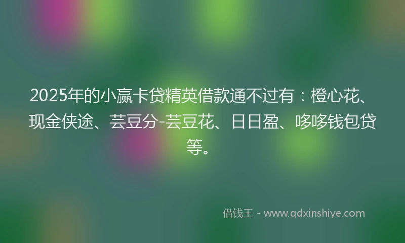 2025年的小赢卡贷精英借款通不过有：橙心花、现金侠途、芸豆分-芸豆花、日日盈、哆哆钱包贷等。
