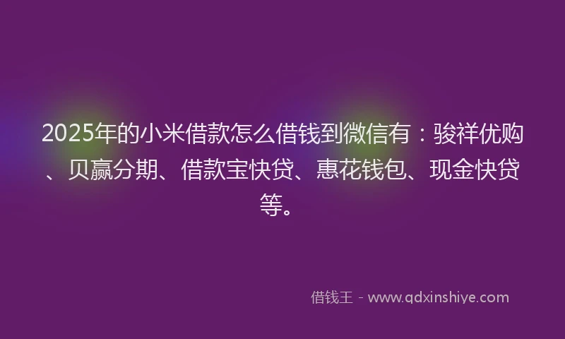 2025年的小米借款怎么借钱到微信有：骏祥优购、贝赢分期、借款宝快贷、惠花钱包、现金快贷等。