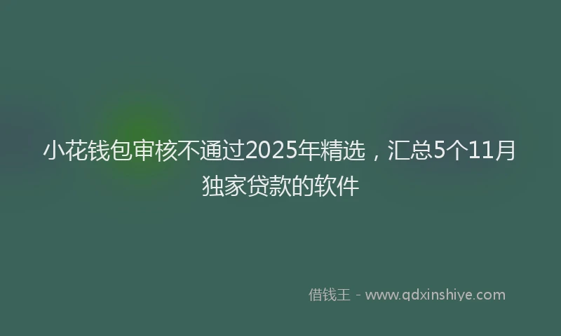 小花钱包审核不通过2025年精选，汇总5个11月独家贷款的软件