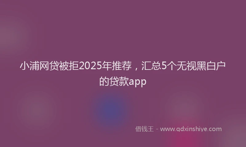 小浦网贷被拒2025年推荐，汇总5个无视黑白户的贷款app
