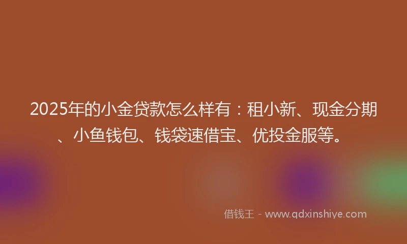 2025年的小金贷款怎么样有：租小新、现金分期、小鱼钱包、钱袋速借宝、优投金服等。