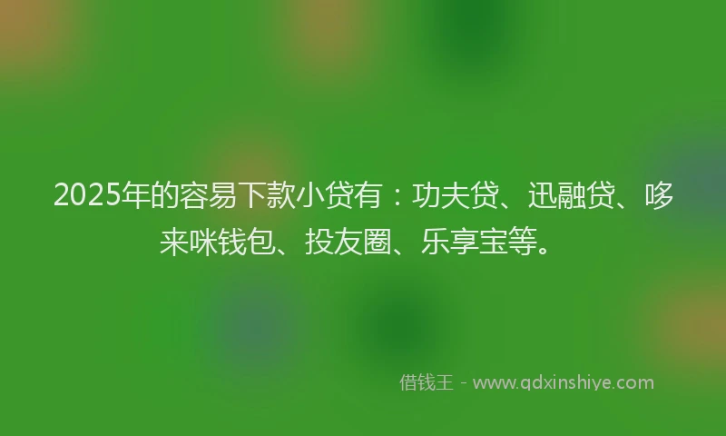 2025年的容易下款小贷有：功夫贷、迅融贷、哆来咪钱包、投友圈、乐享宝等。