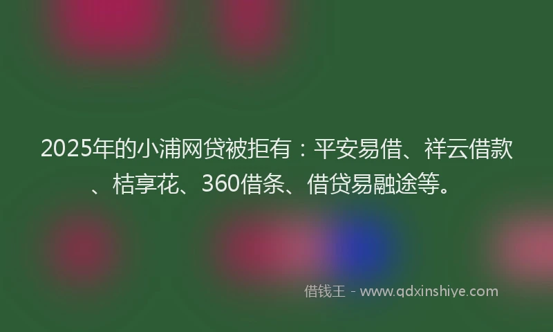 2025年的小浦网贷被拒有：平安易借、祥云借款、桔享花、360借条、借贷易融途等。