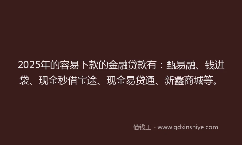 2025年的容易下款的金融贷款有：甄易融、钱进袋、现金秒借宝途、现金易贷通、新鑫商城等。