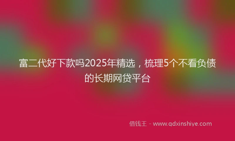 富二代好下款吗2025年精选，梳理5个不看负债的长期网贷平台
