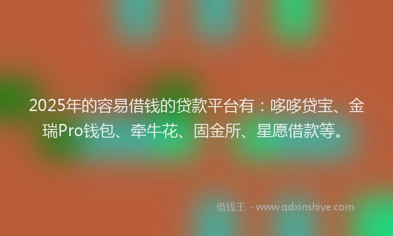 2025年的容易借钱的贷款平台有：哆哆贷宝、金瑞Pro钱包、牵牛花、固金所、星愿借款等。