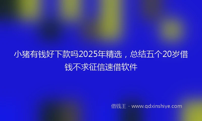 小猪有钱好下款吗2025年精选，总结五个20岁借钱不求征信速借软件