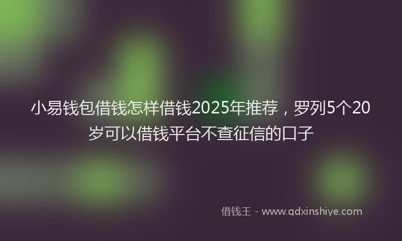 小易钱包借钱怎样借钱2025年推荐，罗列5个20岁可以借钱平台不查征信的口子