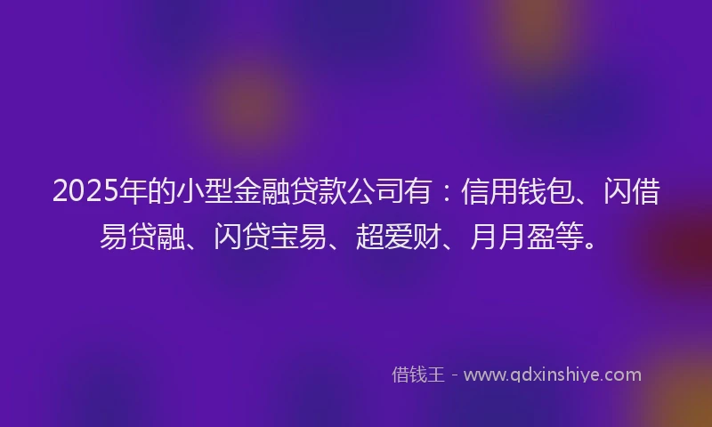 2025年的小型金融贷款公司有：信用钱包、闪借易贷融、闪贷宝易、超爱财、月月盈等。