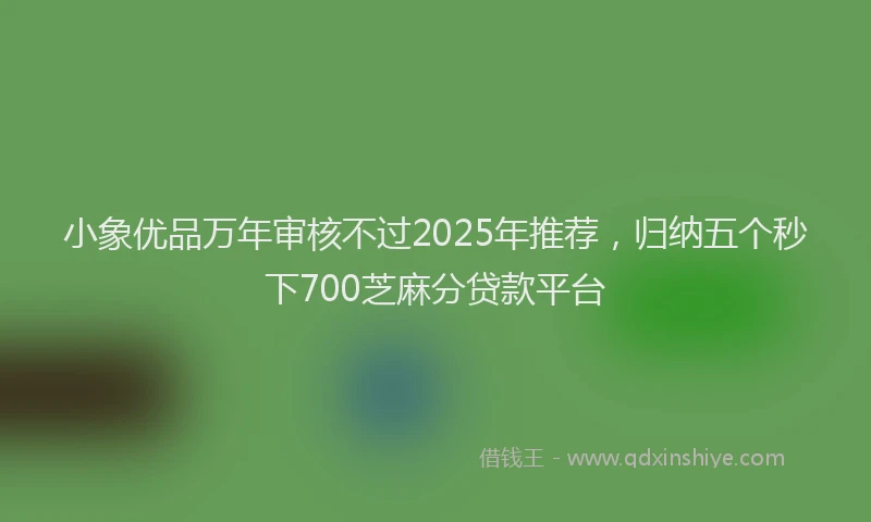 小象优品万年审核不过2025年推荐，归纳五个秒下700芝麻分贷款平台