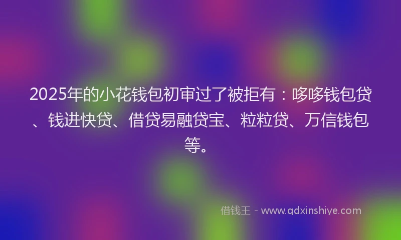 2025年的小花钱包初审过了被拒有：哆哆钱包贷、钱进快贷、借贷易融贷宝、粒粒贷、万信钱包等。